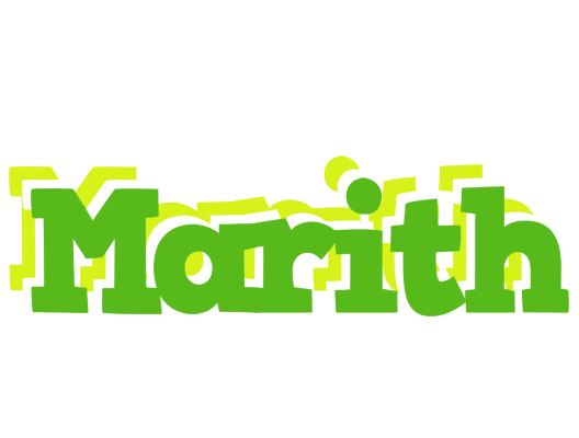 Marith picnic logo