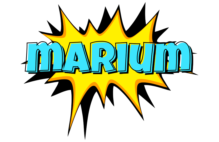 Marium indycar logo