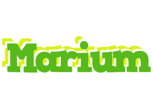 Marium picnic logo