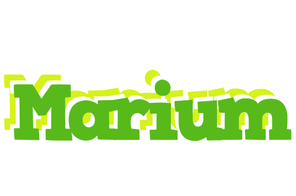 Marium picnic logo