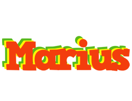 Marius bbq logo