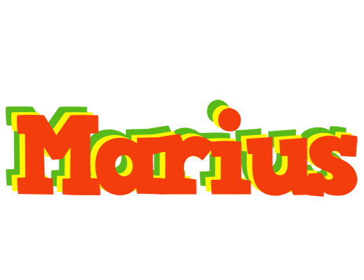 Marius bbq logo