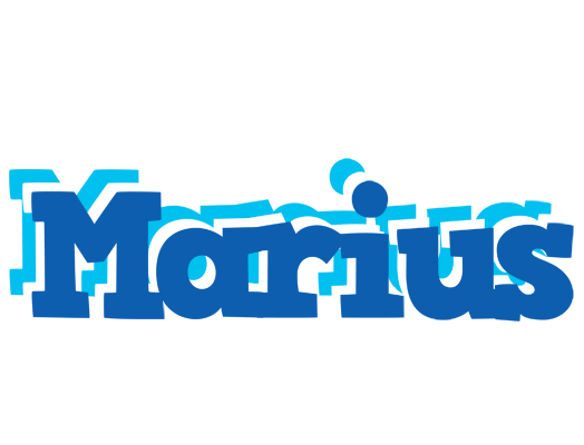 Marius business logo