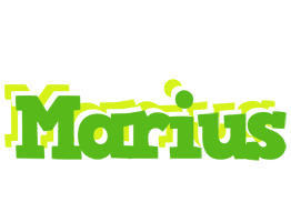 Marius picnic logo