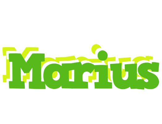 Marius picnic logo