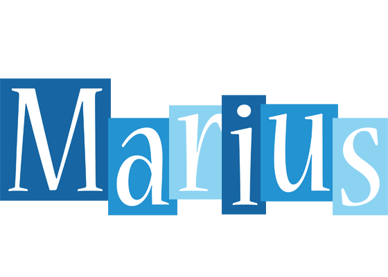 Marius winter logo