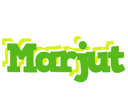 Marjut picnic logo