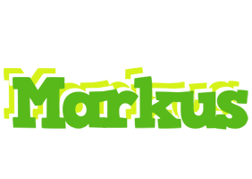 Markus picnic logo