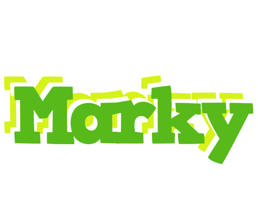 Marky picnic logo