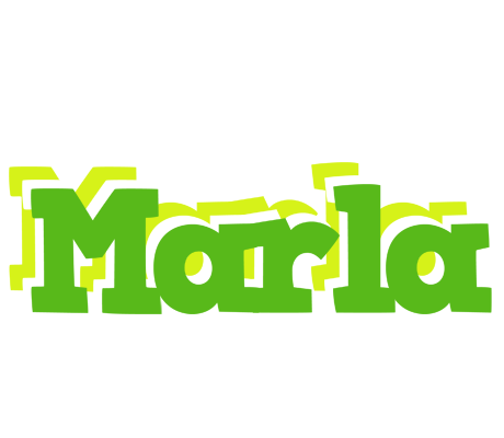 Marla picnic logo