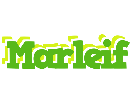Marleif picnic logo