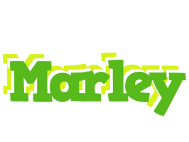 Marley picnic logo