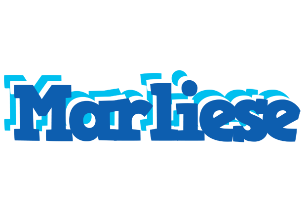 Marliese business logo