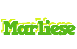 Marliese picnic logo