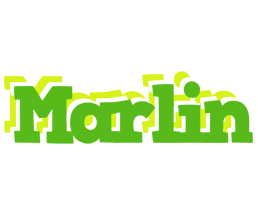 Marlin picnic logo