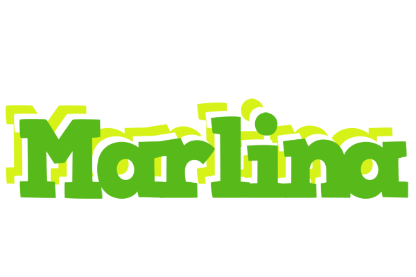 Marlina picnic logo