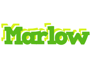 Marlow picnic logo