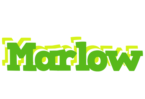 Marlow picnic logo