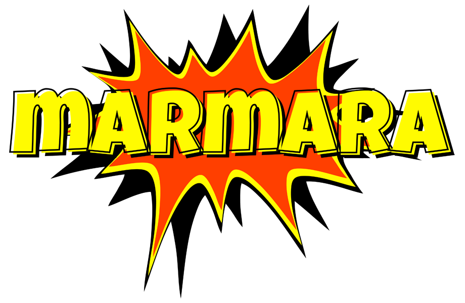 Marmara bazinga logo
