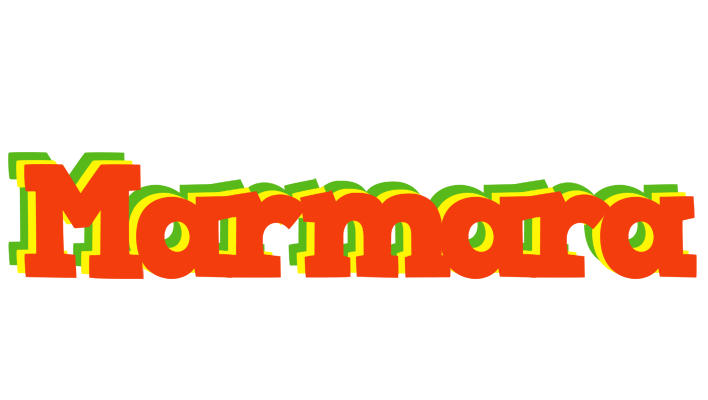 Marmara bbq logo