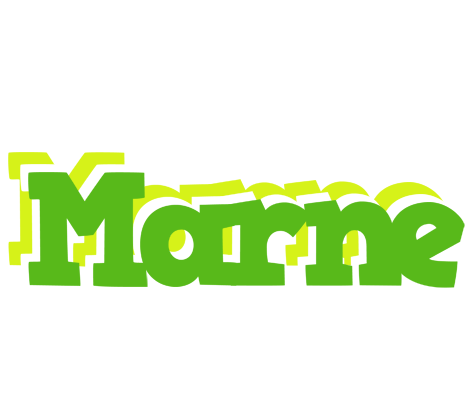 Marne picnic logo