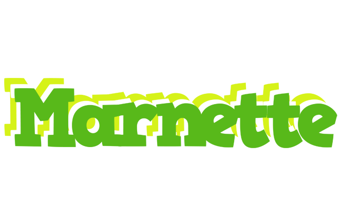 Marnette picnic logo