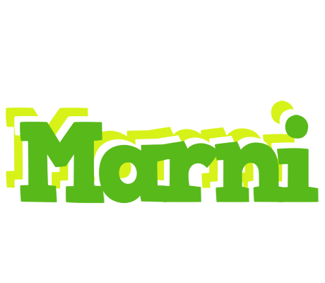 Marni picnic logo