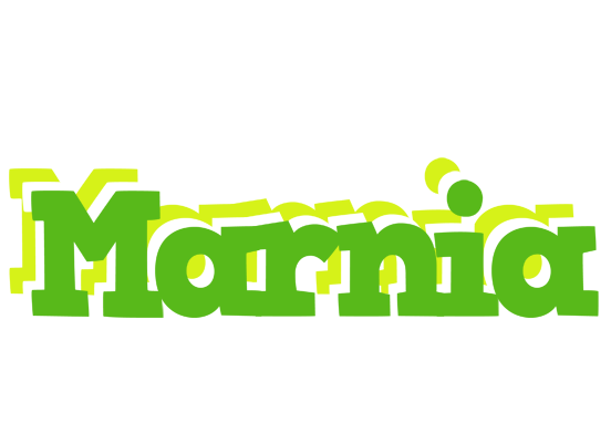 Marnia picnic logo