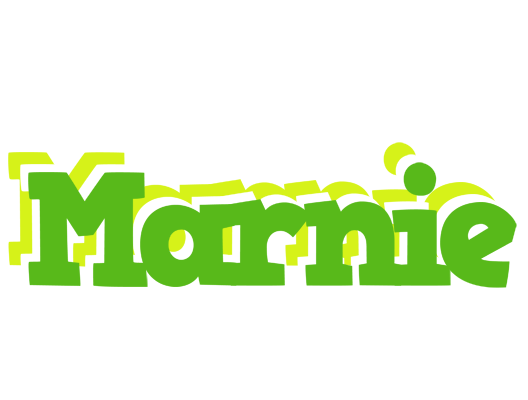 Marnie picnic logo