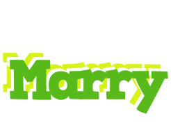 Marry picnic logo