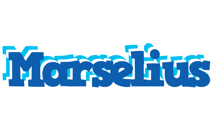 Marselius business logo