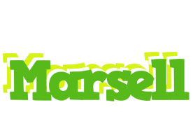 Marsell picnic logo