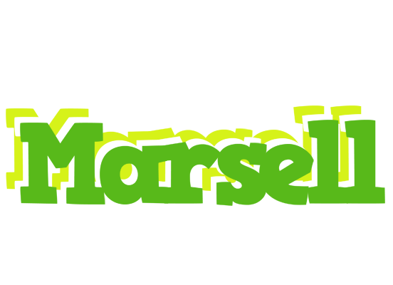 Marsell picnic logo