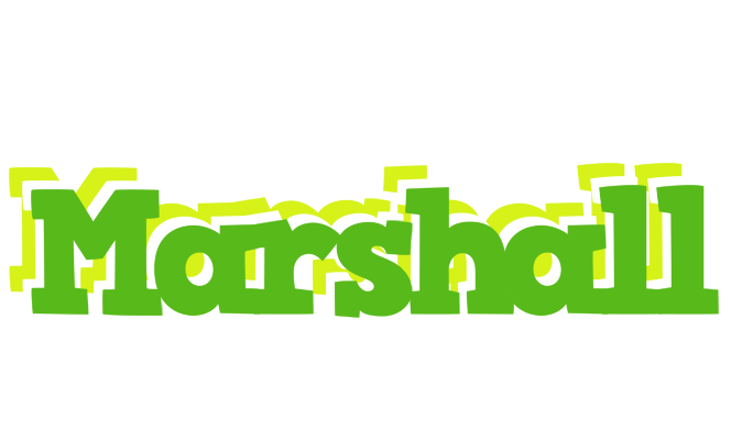 Marshall picnic logo