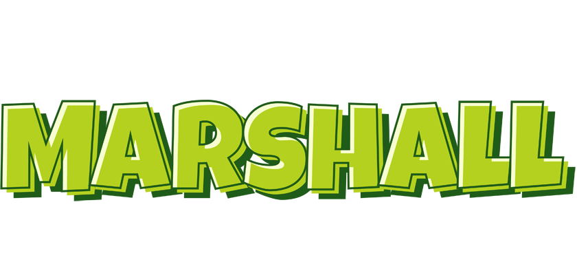 Marshall summer logo