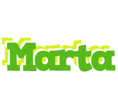 Marta picnic logo