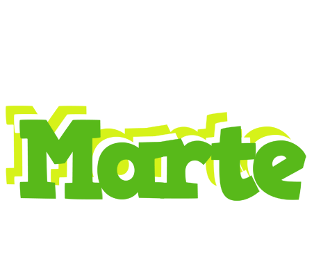 Marte picnic logo
