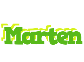 Marten picnic logo