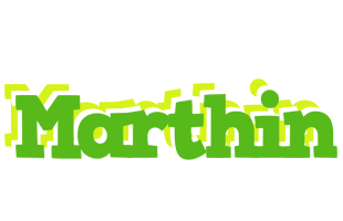 Marthin picnic logo