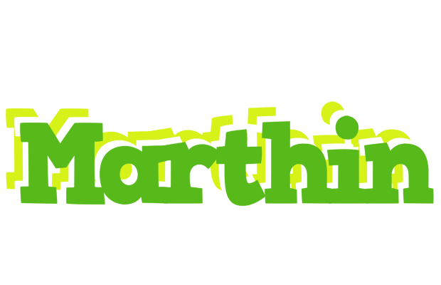 Marthin picnic logo