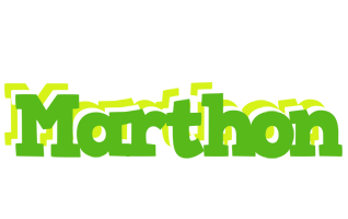 Marthon picnic logo