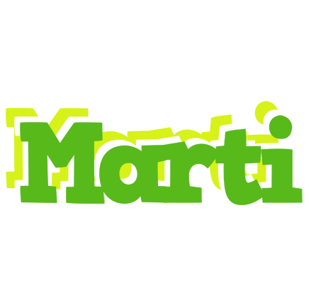 Marti picnic logo