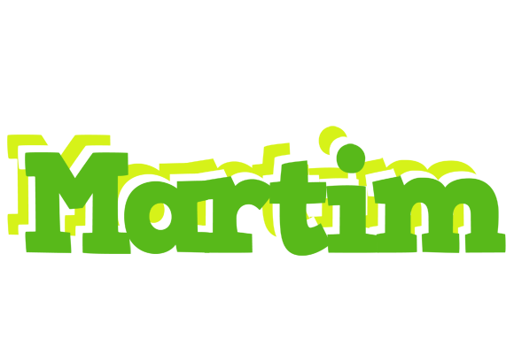 Martim picnic logo