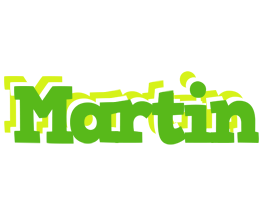Martin picnic logo