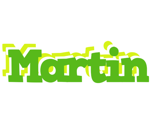 Martin picnic logo