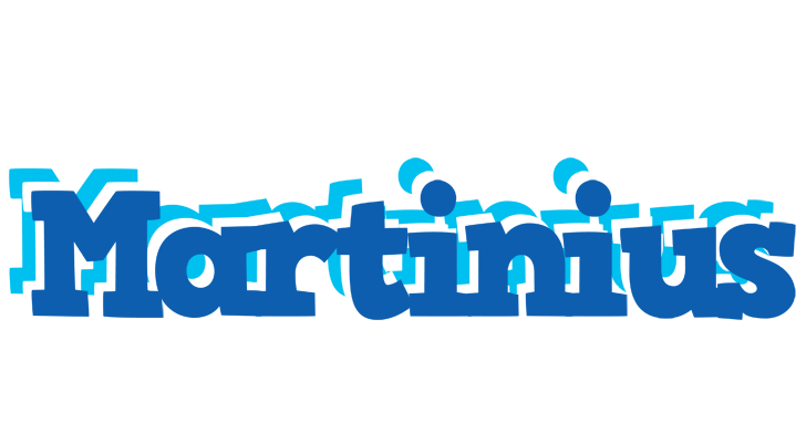 Martinius business logo