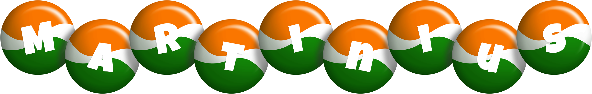 Martinius india logo