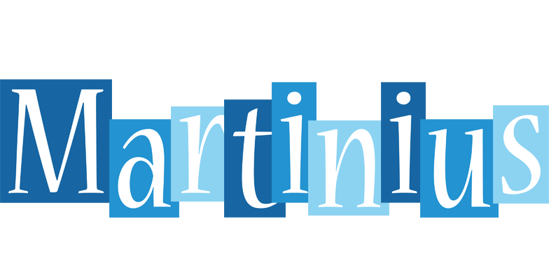 Martinius winter logo