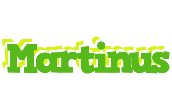 Martinus picnic logo