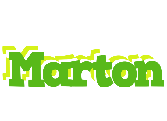 Marton picnic logo